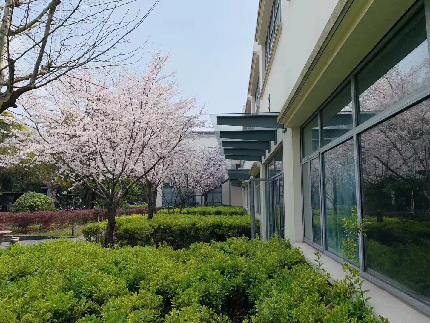 盛大天地盛創(chuàng)中心