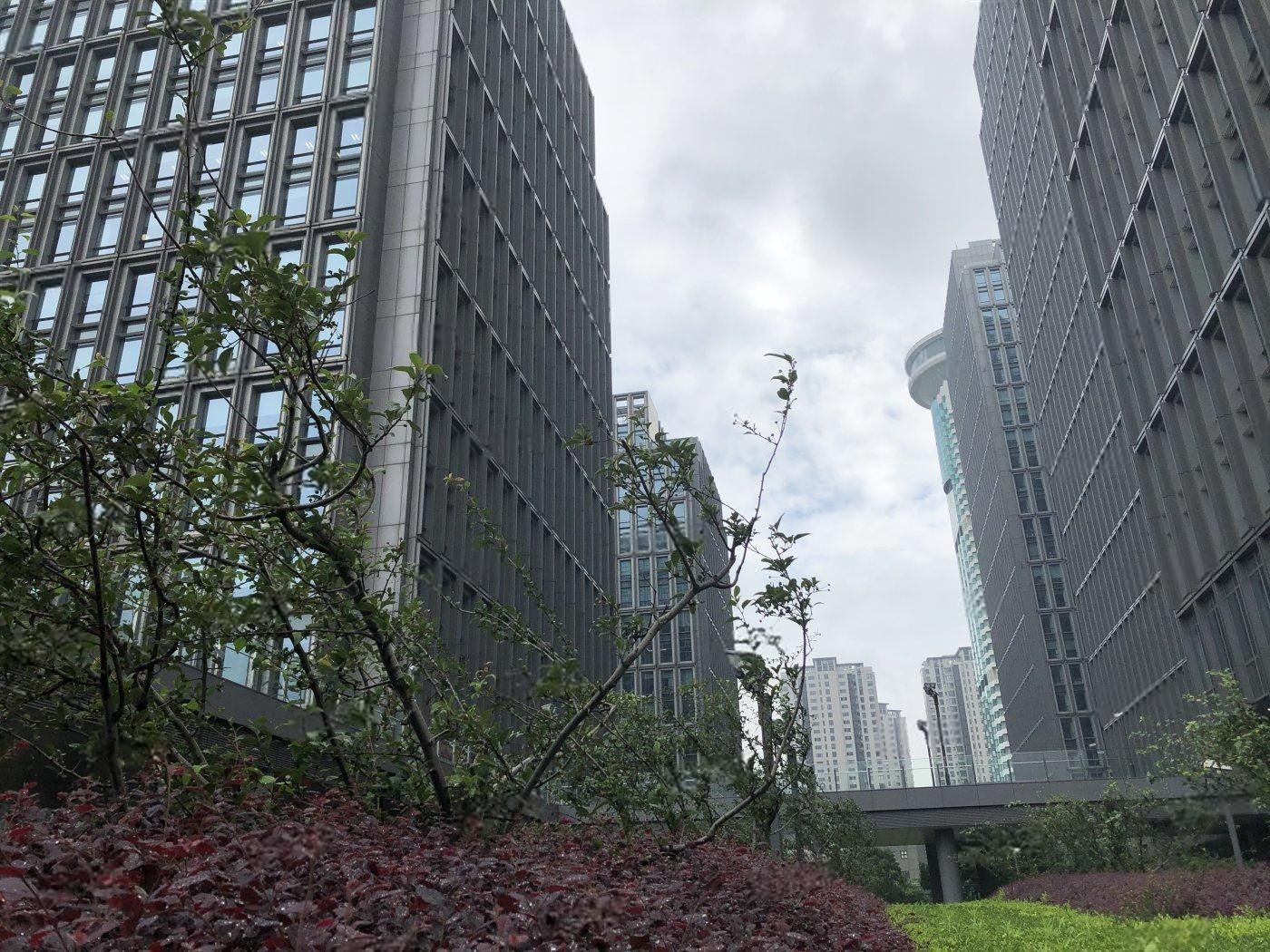 陸家嘴世紀(jì)金融廣場