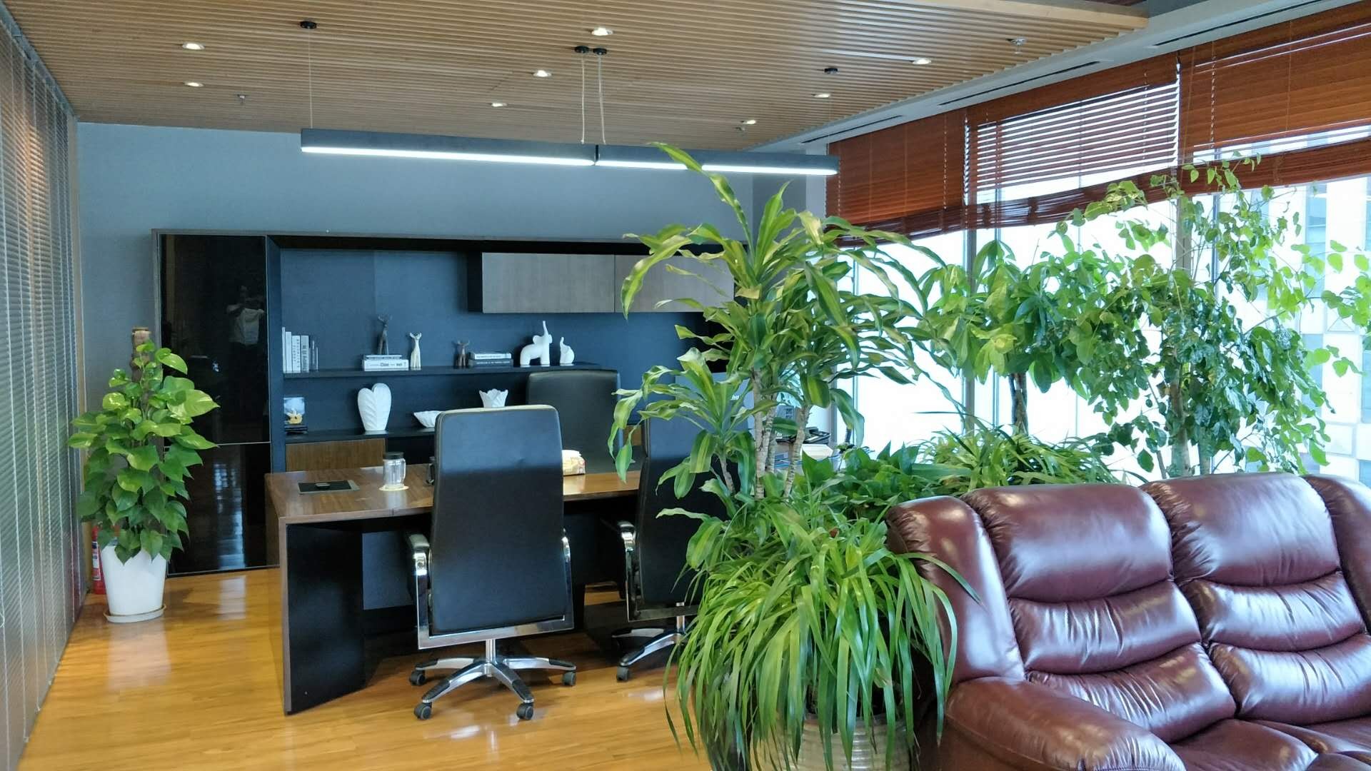 中國(guó)人壽金融中心