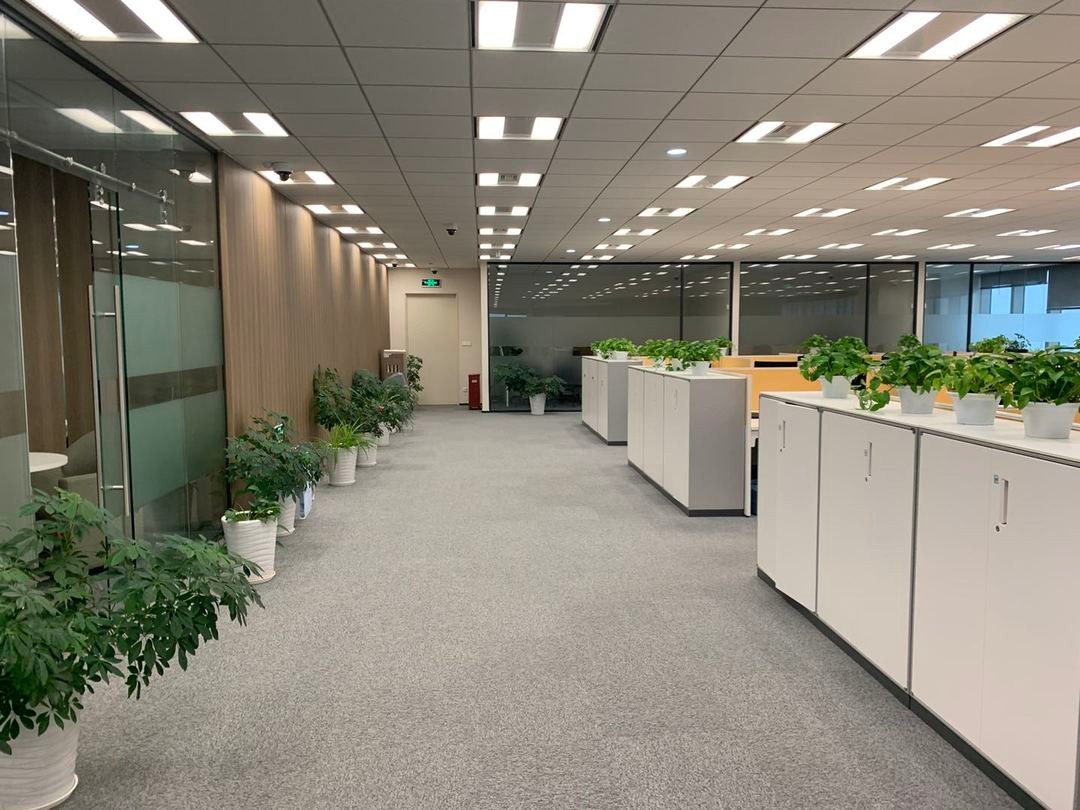 環(huán)球金融中心