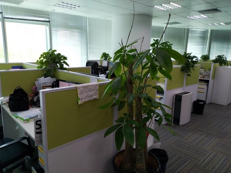 未來資產(chǎn)大廈