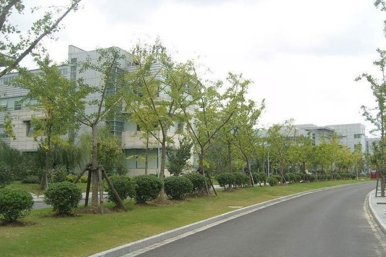 科技領(lǐng)袖之都