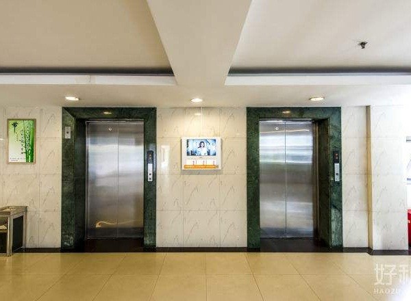 慧谷白貓科技園