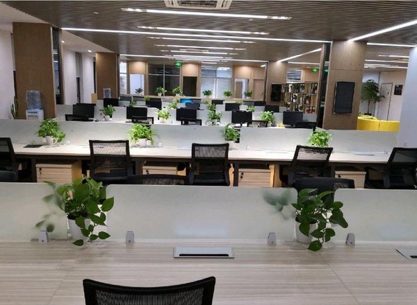 金領(lǐng)之都B區(qū)