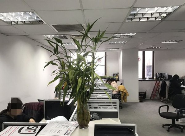 農(nóng)房碧云公館1