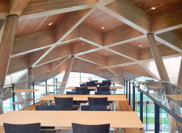 諾華上海園區(qū)