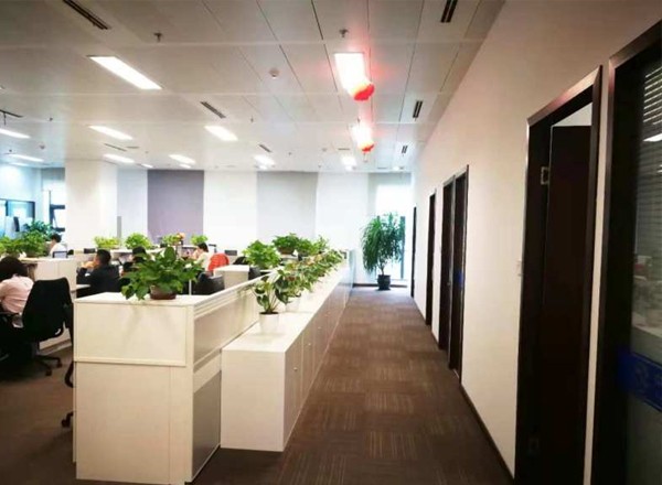 東方國(guó)際科技大廈