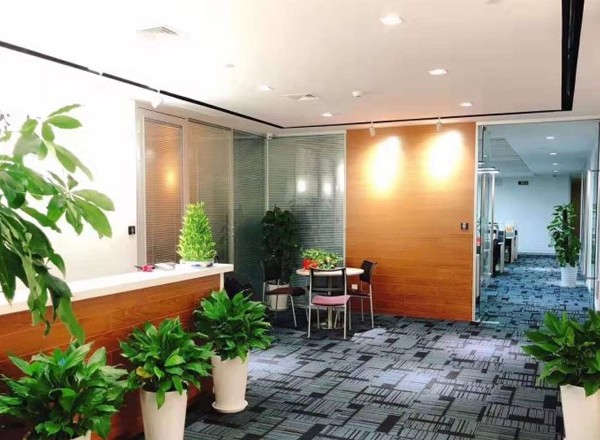 陸家嘴商務廣場