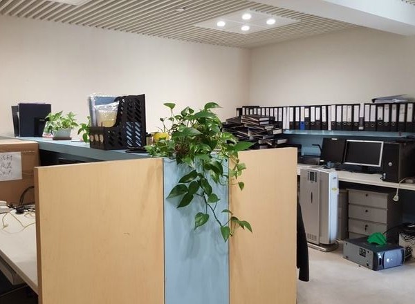 曹楊商務(wù)大廈