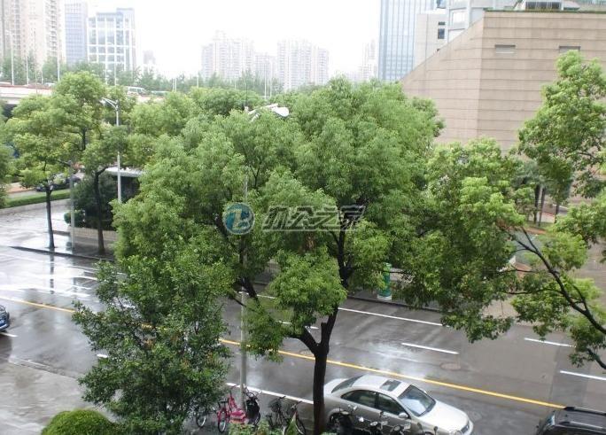 800秀創(chuàng)意園