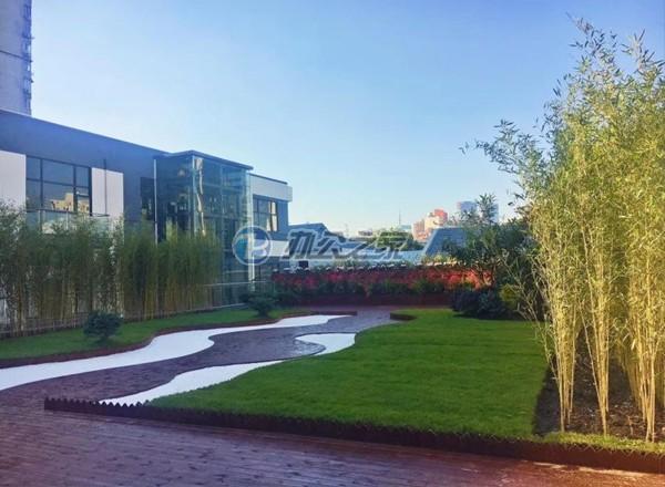 ENJOY趣辦·白玉蘭