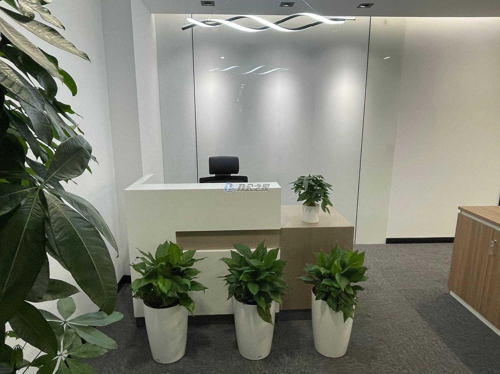 新上海國際大廈1