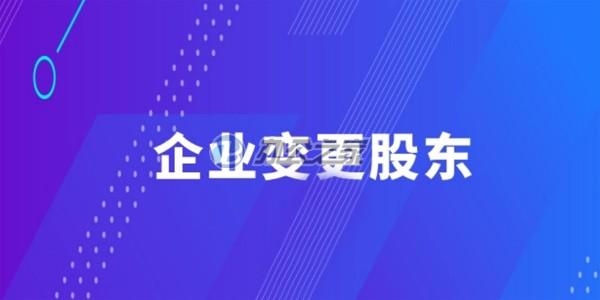 上海公司變更股東的在線流程是什么？