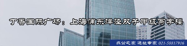丁香國際廣場：上海浦東洋涇雙子甲級寫字樓