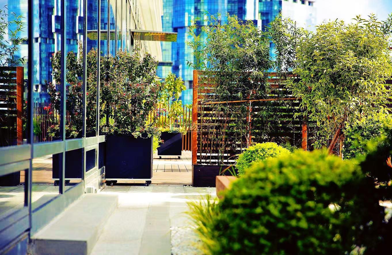 陸家嘴金融廣場(chǎng)